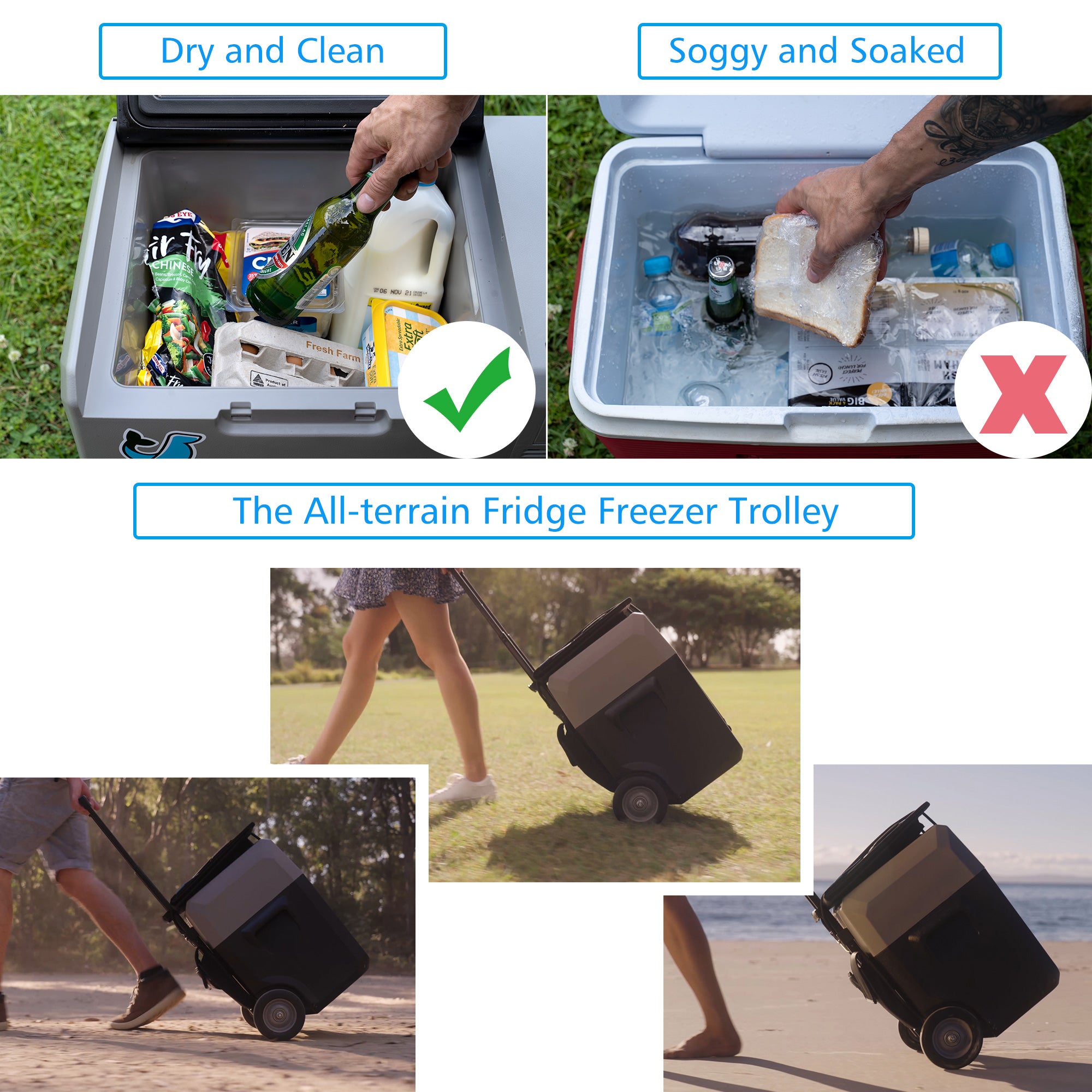 Acopower LionCooler Pro: Your Ultimate Portable Solar-Powered Fridge-Freezer