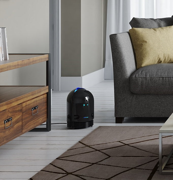 Airfree PLUS: Breathe Easy, Breathe Clean
