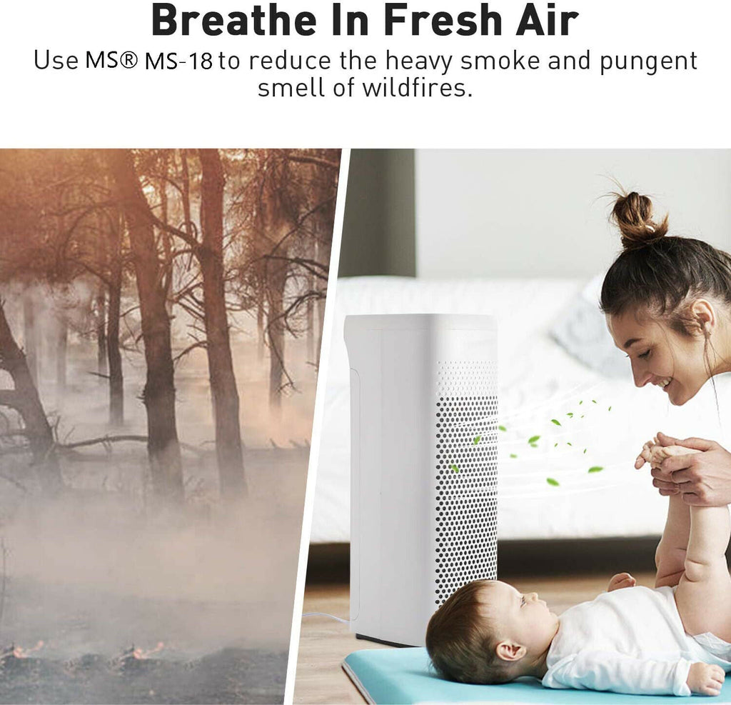 MS18 Smoke Eater HEPA Air Purifier by Membrane Solutions