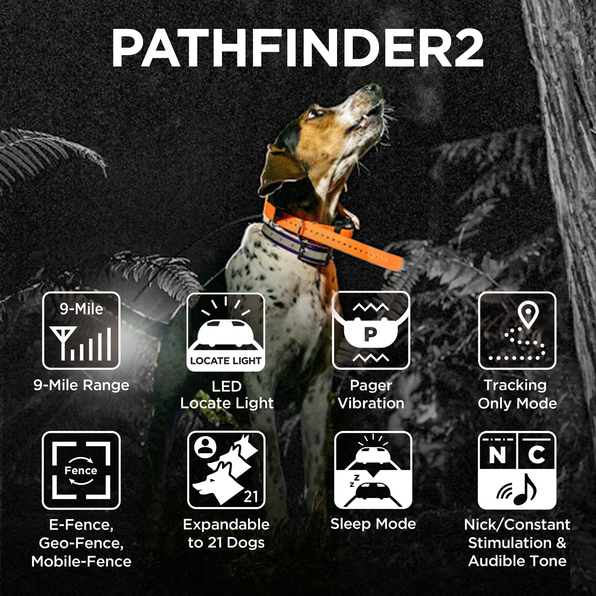 Dogtra PATHFINDER2 MINI GPS Dog Tracking & Training Collar - Expand Your Training System!