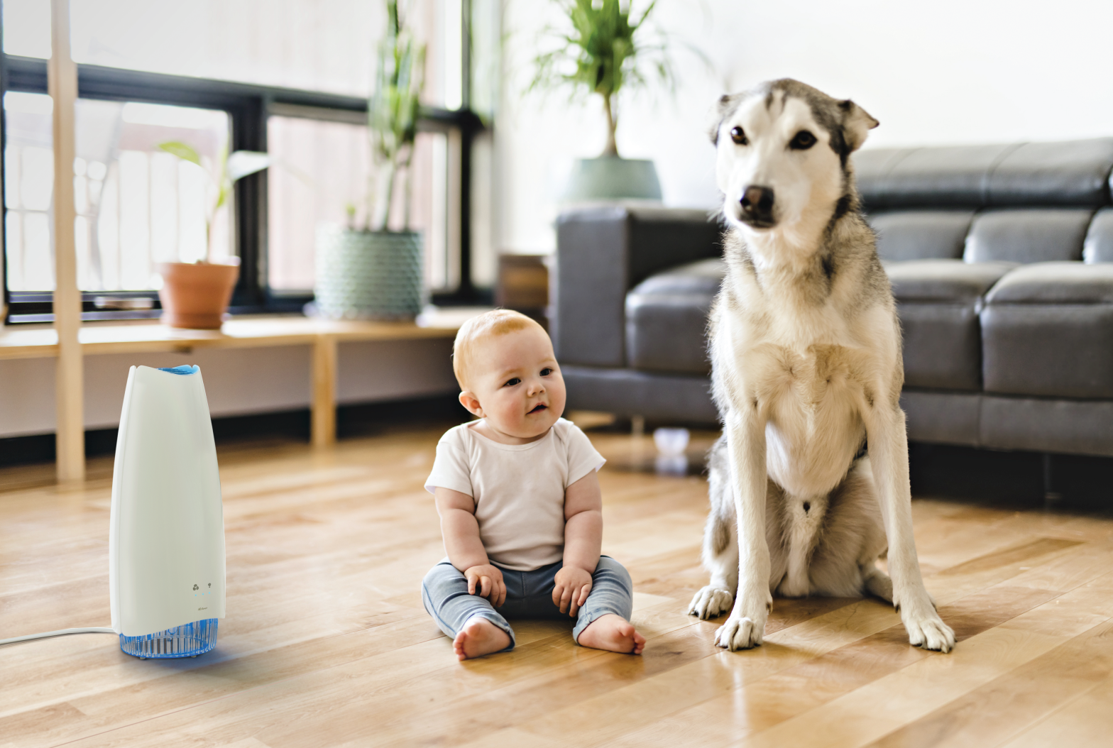 AirFree Elite: The Ultimate Filterless Air Purifier for a Breathtakingly Fresh Home