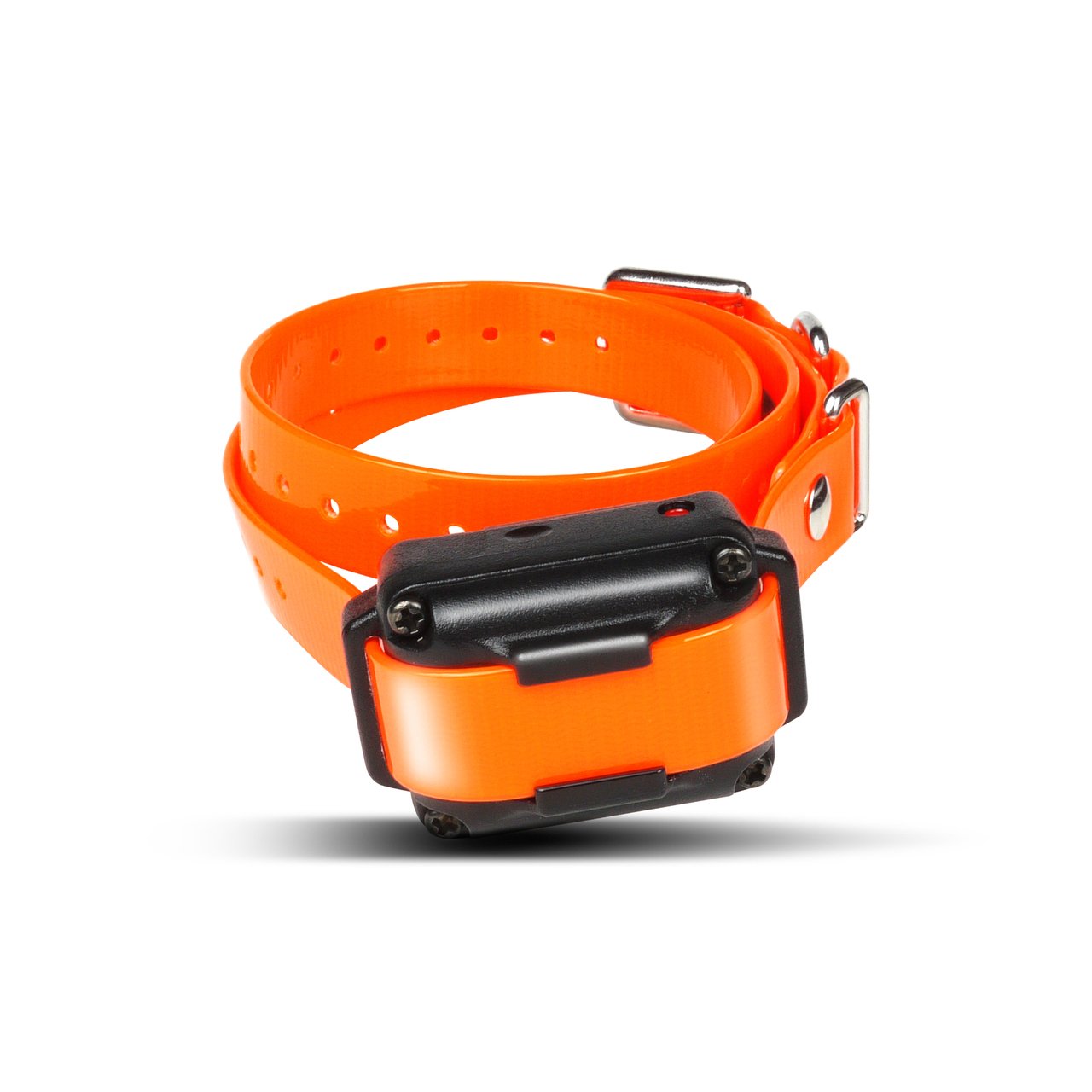 Dogtra IQ-Plus Extra Receiver with Orange Strap - Train Two Dogs Simultaneously!