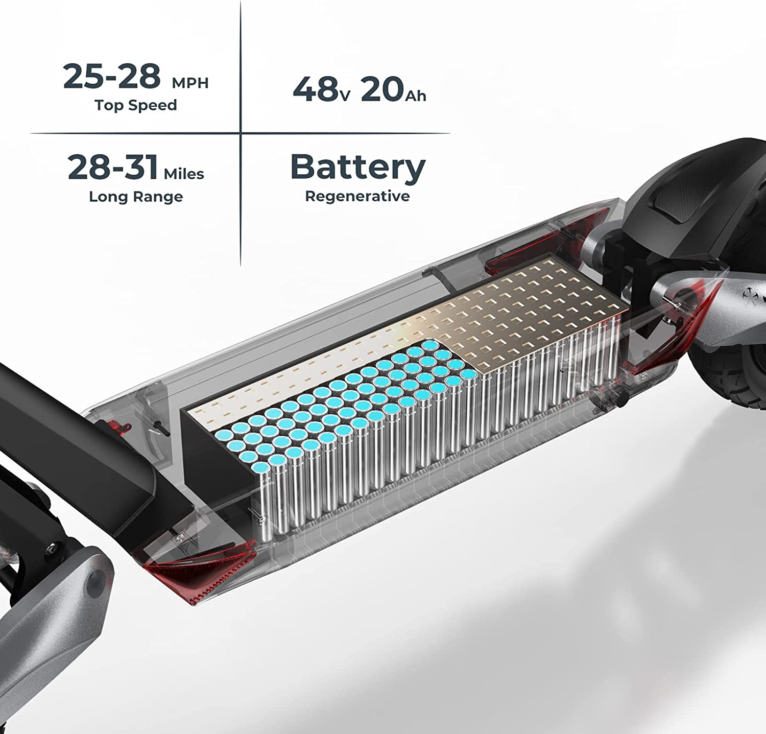 CIRCOOTER Raptor Pro 1600W Dual Motor Off-Road E-Scooter - Conquer Any Trail!