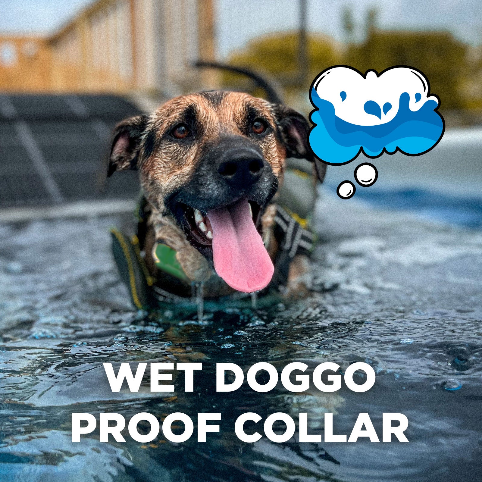 Dogtra CUE Add-On Collar - The Ultimate Off-Leash Training Solution for Active Pets