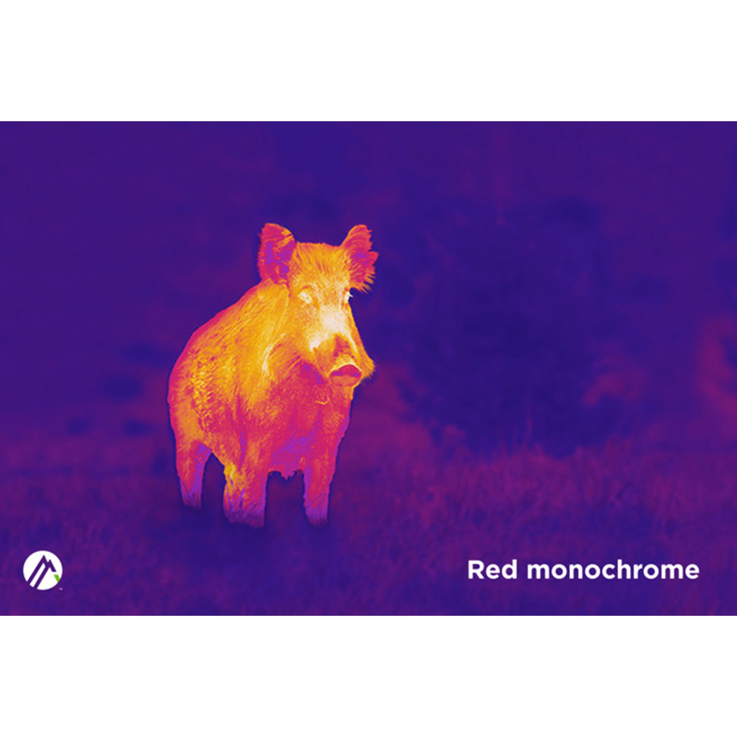 Alpen ApexThermal 35mm Monocular - Your Ultimate Thermal Imaging Companion