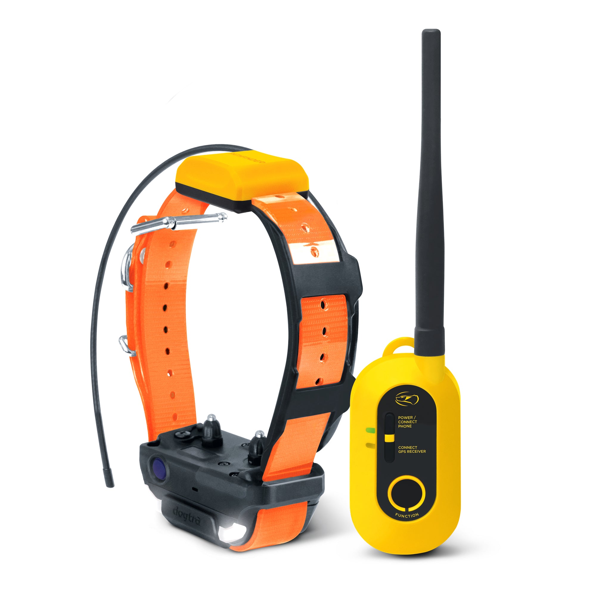 Dogtra Pathfinder 2: Unleash Your Dog's Adventures with GPS Tracking and Training