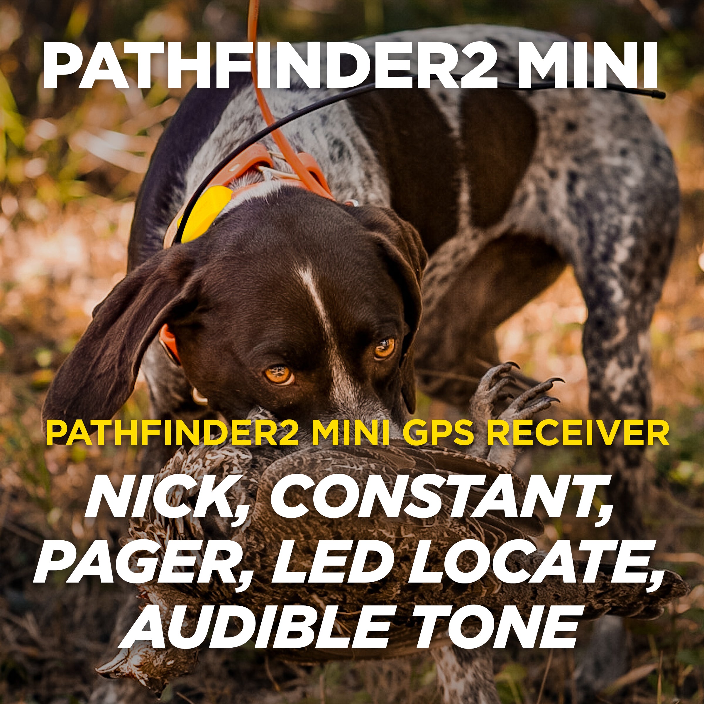 Dogtra PATHFINDER2 MINI - The Ultimate GPS Dog Tracking & Training System