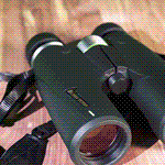 Alpen Teton 10x42 Binoculars: Crystal Clear Views with Abbe Prism