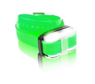 Dogtra Edge Expandable Collar - Boost Your Dog Training