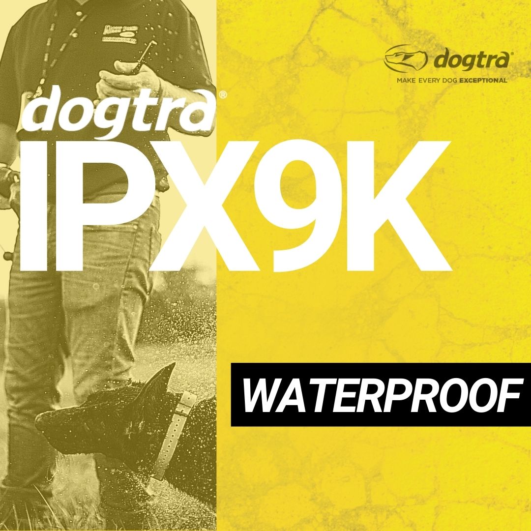Dogtra 282C - 
