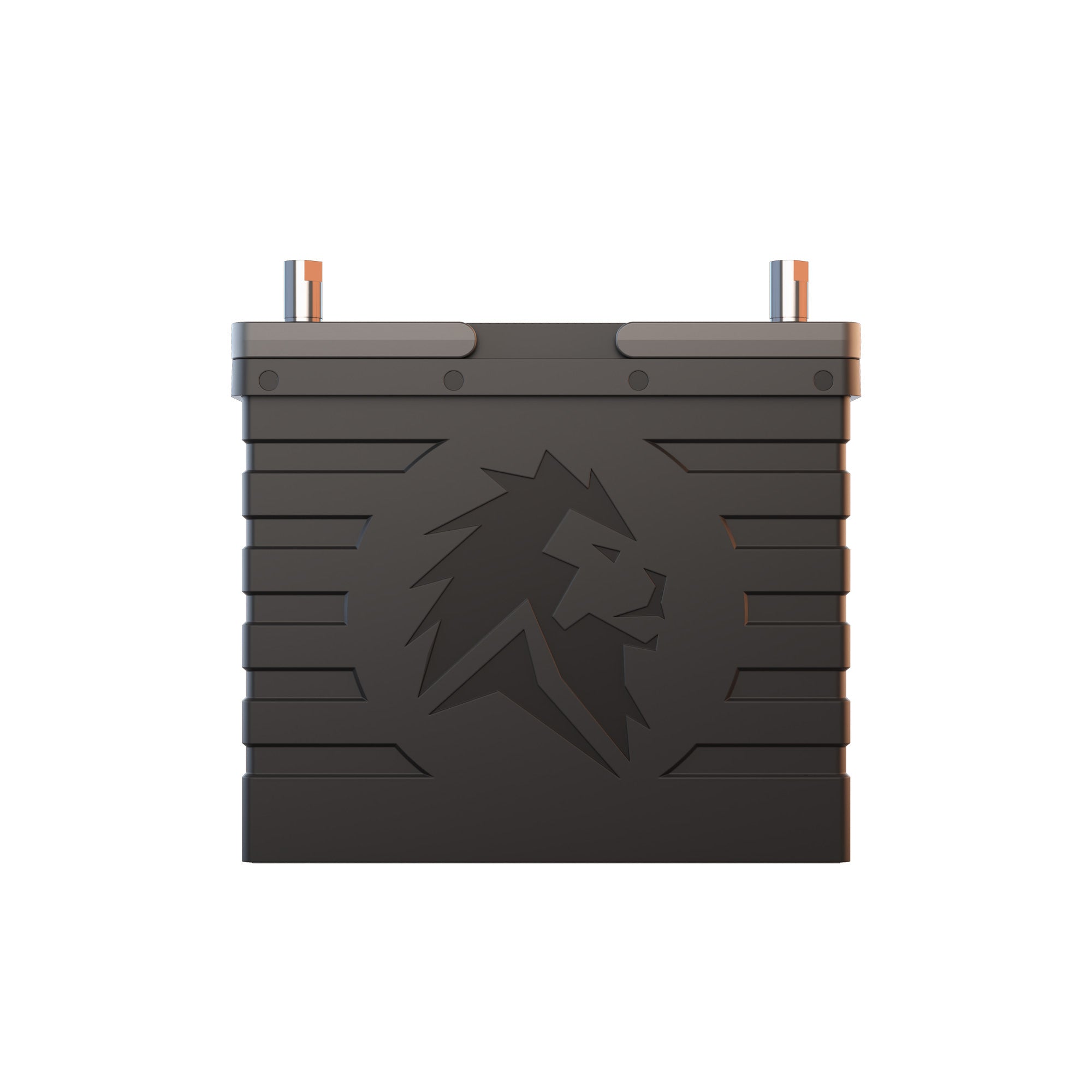Lion Energy UT 1300 BT LiFePO4 Battery - Your Ultimate Power Solution