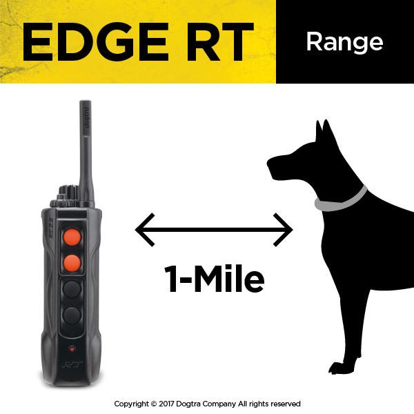 Unleash Precision: Dogtra Edge RT Remote Training Collar