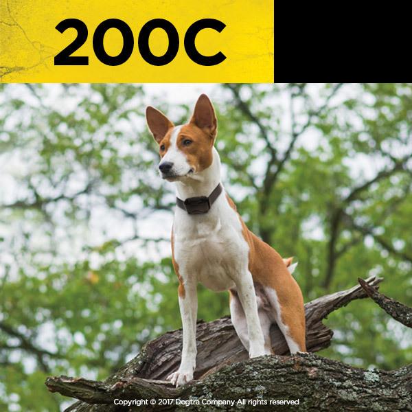 Dogtra 200C Remote Dog Training Collar - Transform Your Dog Training Experience