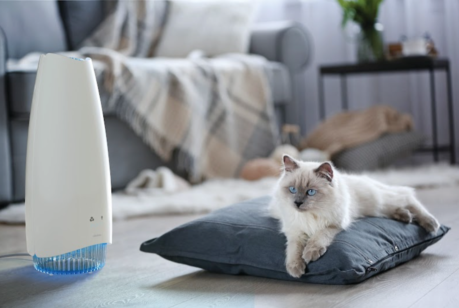 AirFree Elite: The Ultimate Filterless Air Purifier for a Breathtakingly Fresh Home