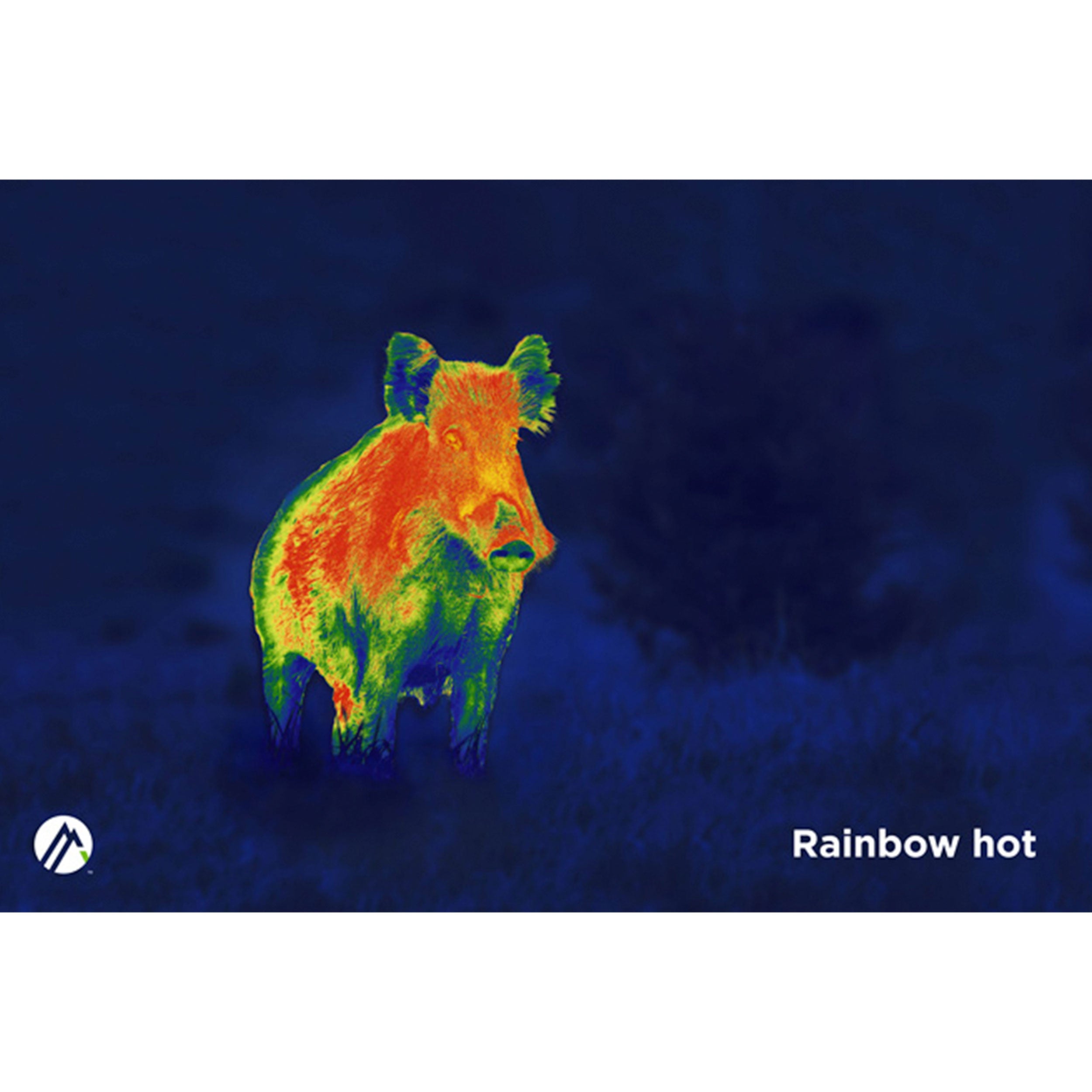Alpen ApexThermal 35mm Monocular - Your Ultimate Thermal Imaging Companion