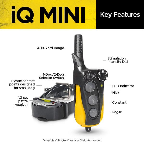 DOGTRA IQ-MINI - The Ultimate Dog Training Collar