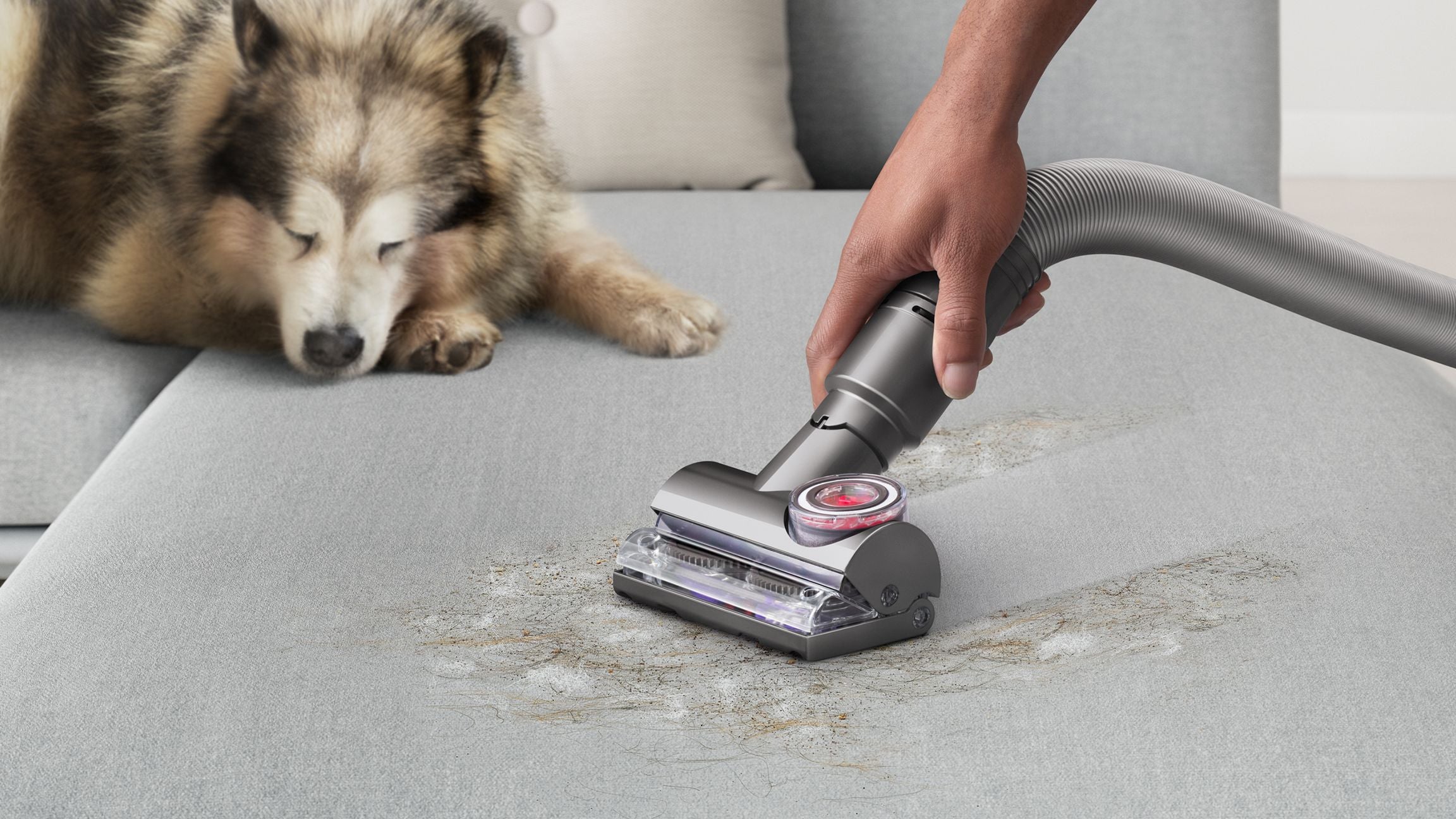 Dyson Ball Animal 3 Pet-Friendly Vacuum Cleaner