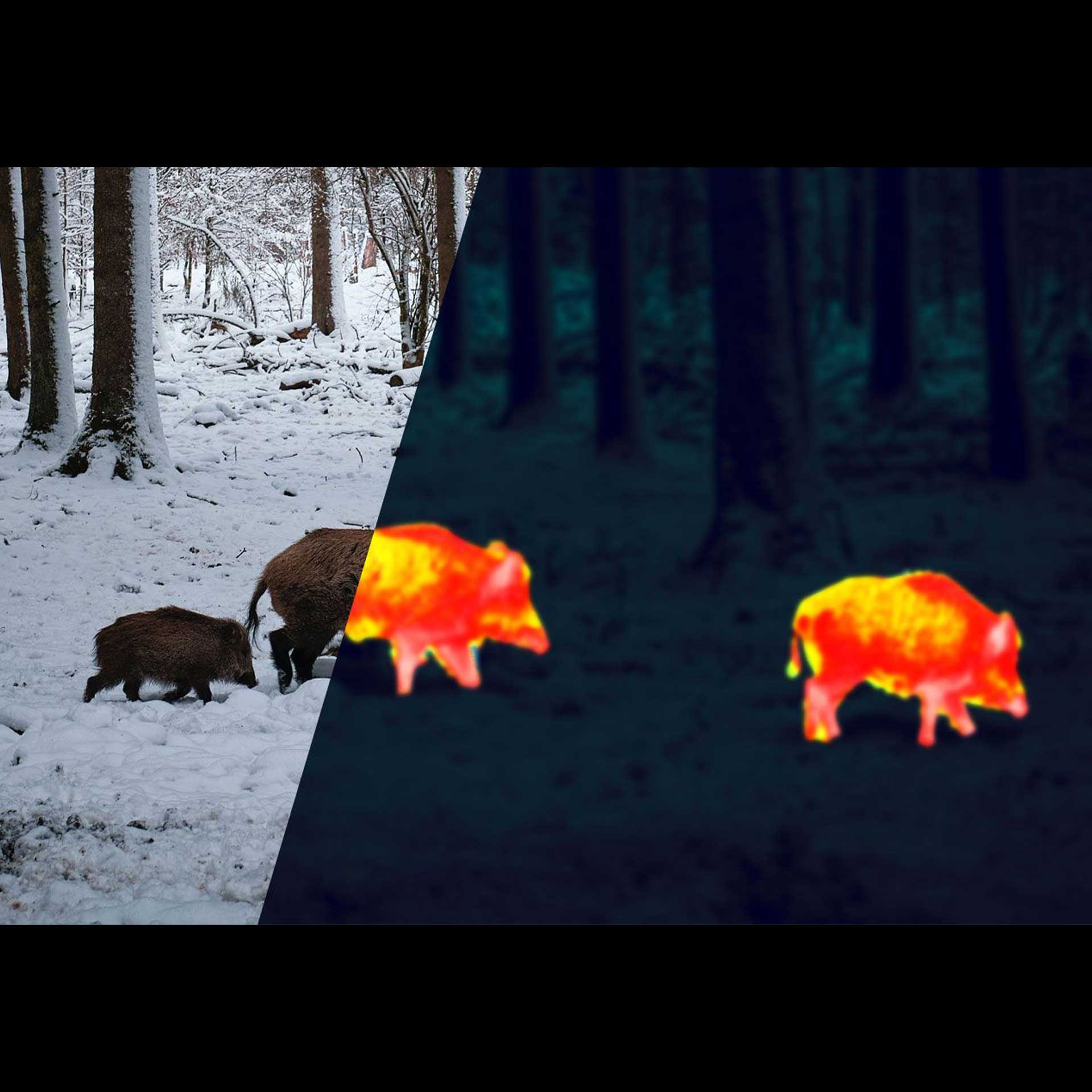 Alpen ApexThermal 35mm Monocular - Your Ultimate Thermal Imaging Companion