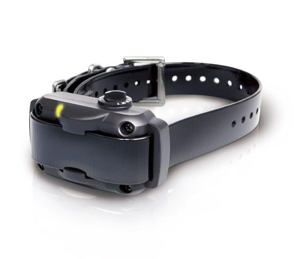 Stop Dog Barking with Dogtra YS600 Collar