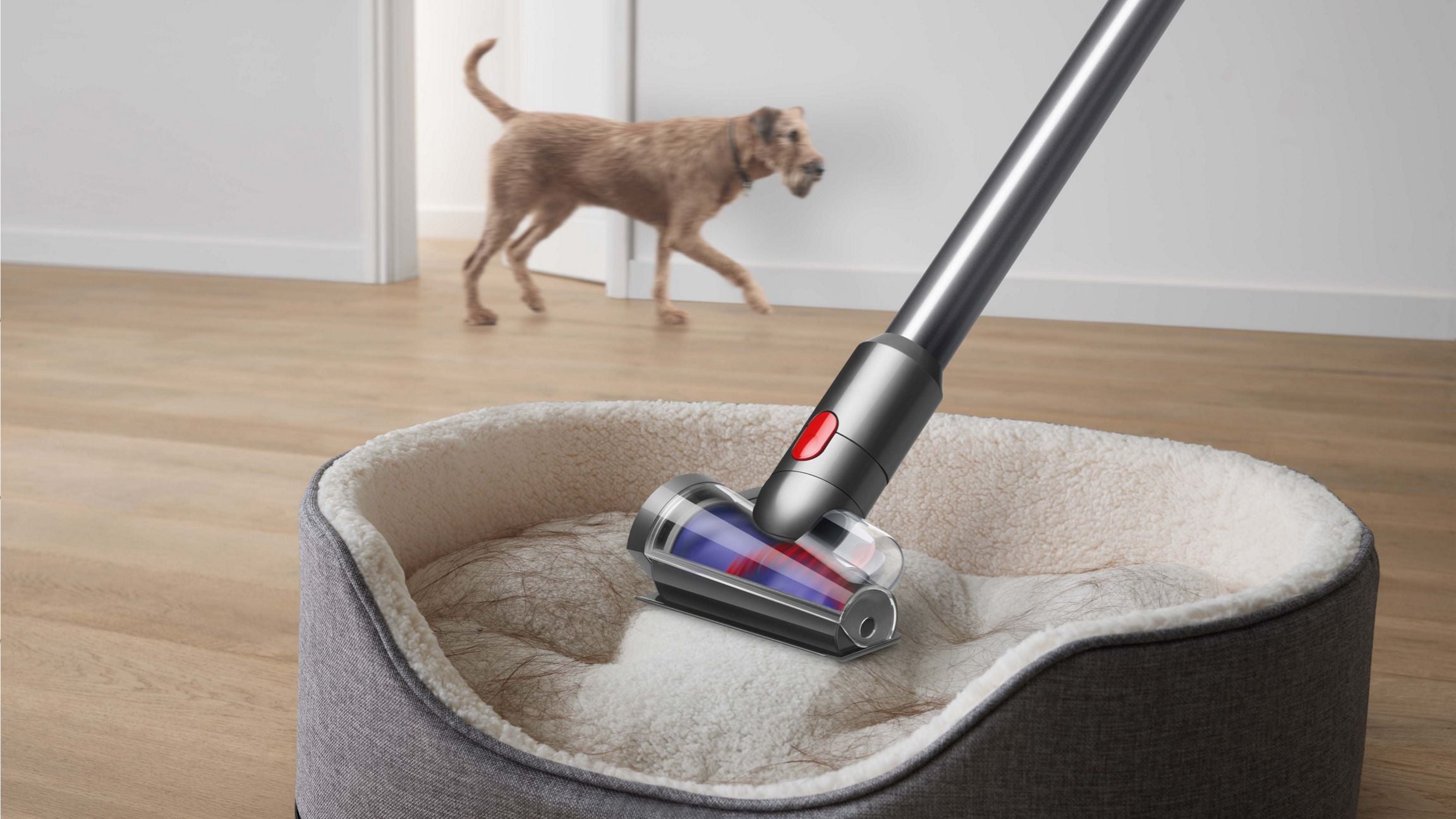 Dyson V8 Cordless Stick Vacuum: The Ultimate Cleaning Companion