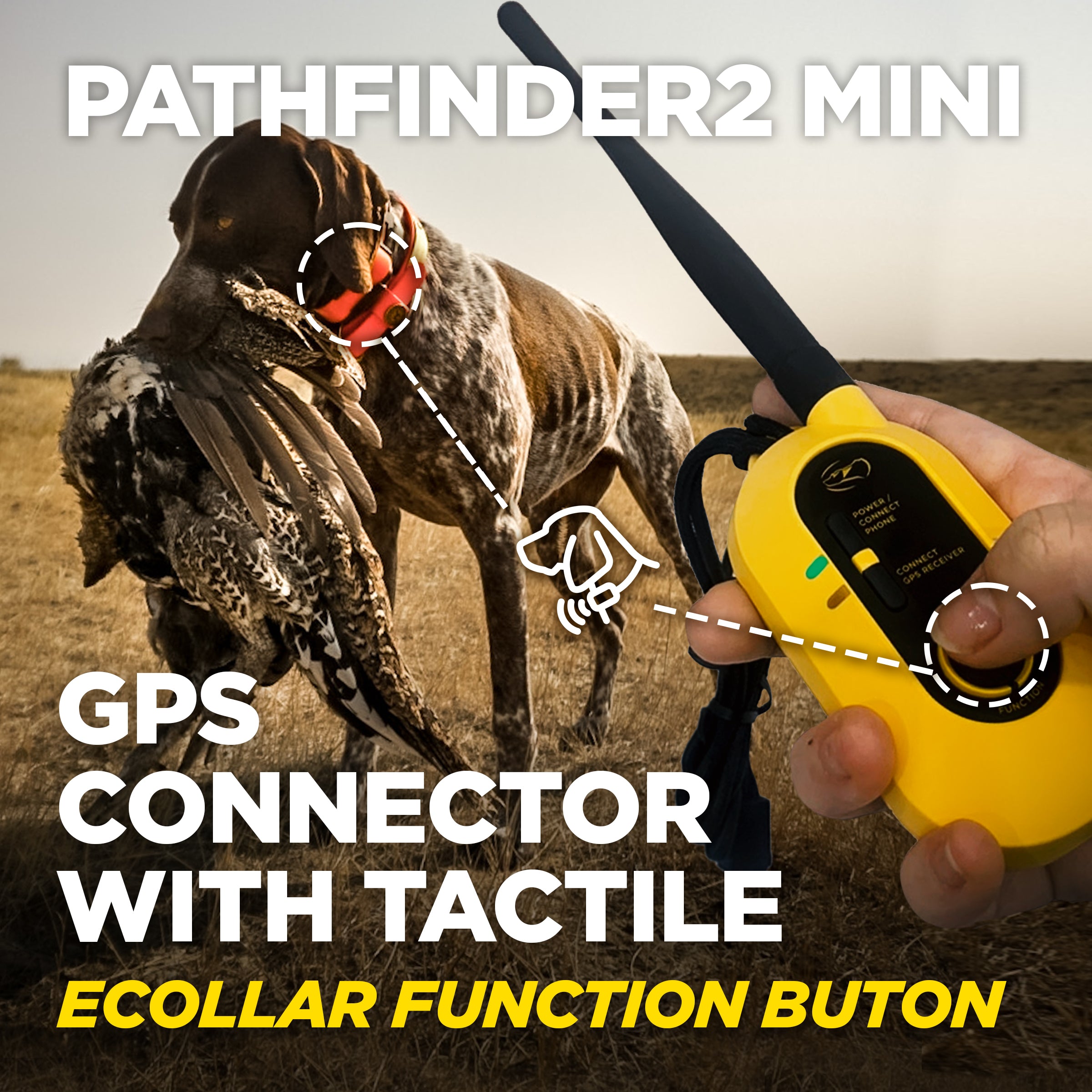 Dogtra PATHFINDER2 MINI - The Ultimate GPS Dog Tracking & Training System