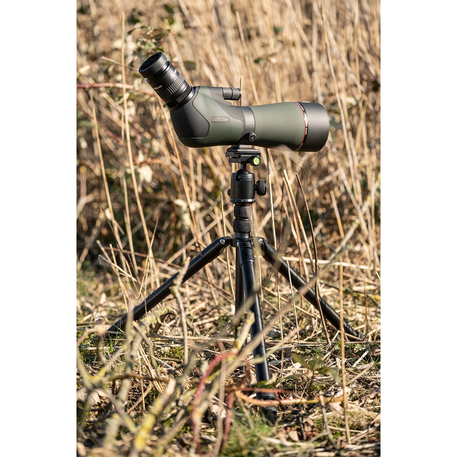 Alpen Apex XP 20-60x80 ED Waterproof Spotting Scope - Your Gateway to Crystal-Clear Views