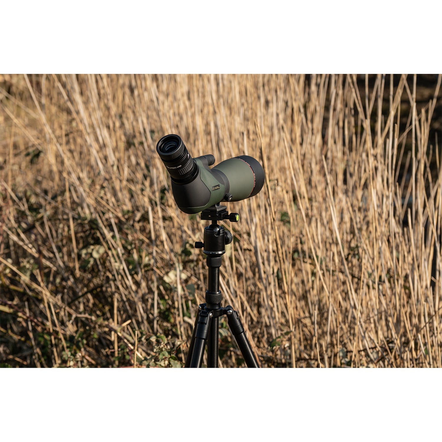 Alpen Apex XP 20-60x80 ED Waterproof Spotting Scope - Your Gateway to Crystal-Clear Views