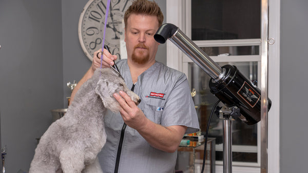 Metrovac TOP GUN Variable Speed Pet Stand Dryer - TG-3V