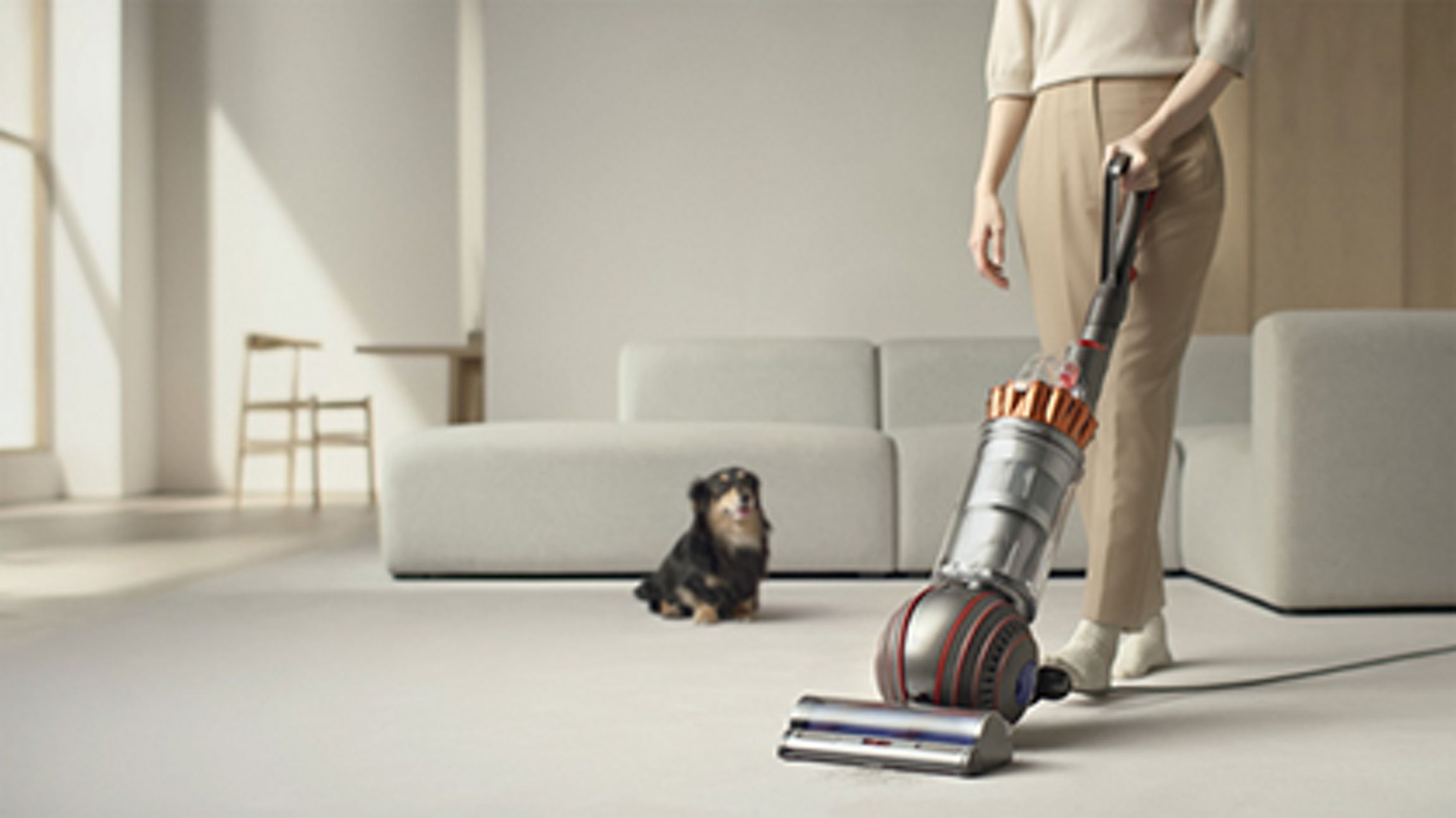 Dyson Ball Animal 3 Pet-Friendly Vacuum Cleaner