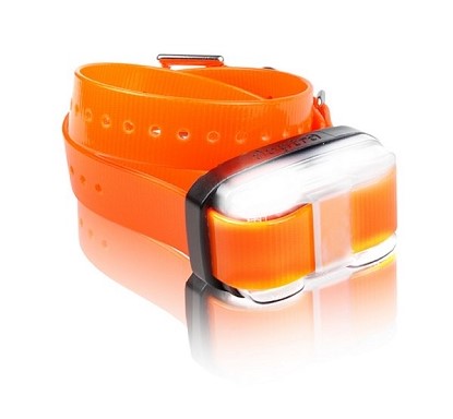Dogtra Edge Expandable Collar - Boost Your Dog Training