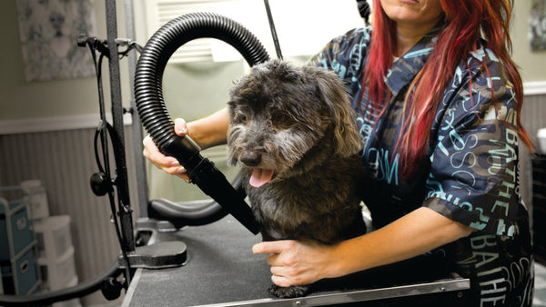 Metrovac Air Force Commander Two-Speed Pet Dryer - Your Pet's Grooming Essential