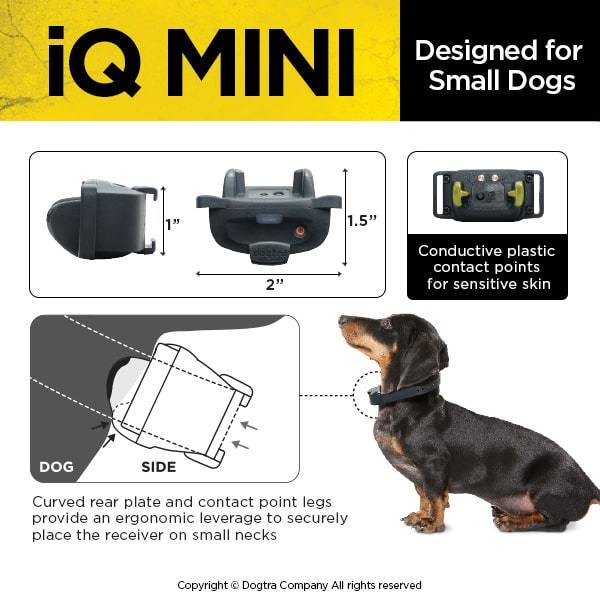 DOGTRA IQ-MINI - The Ultimate Dog Training Collar