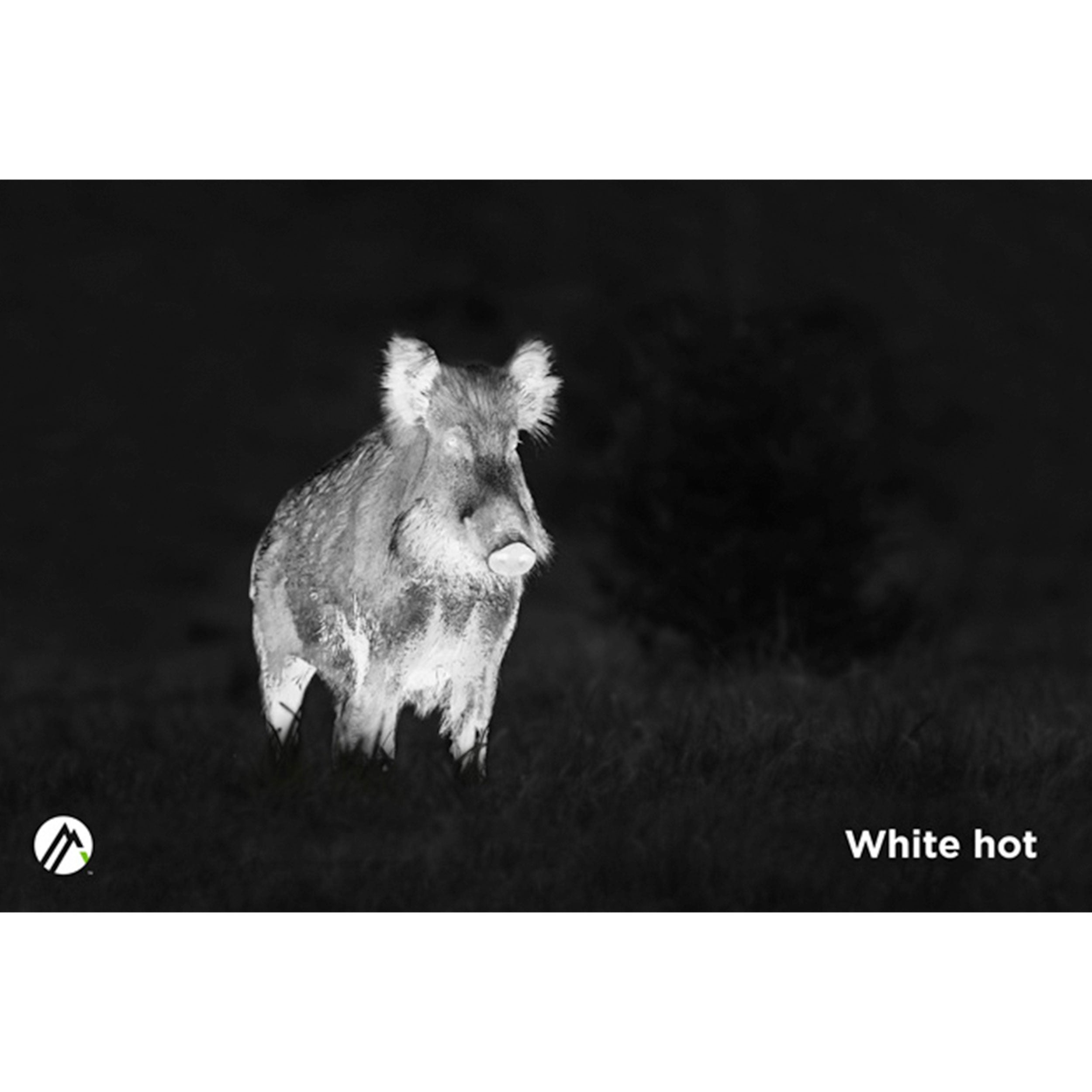 Alpen Apex 54mm Thermal Monocular - Your Ultimate Hunting & Observation Companion