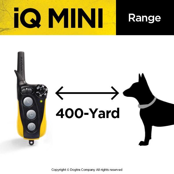 DOGTRA IQ-MINI - The Ultimate Dog Training Collar