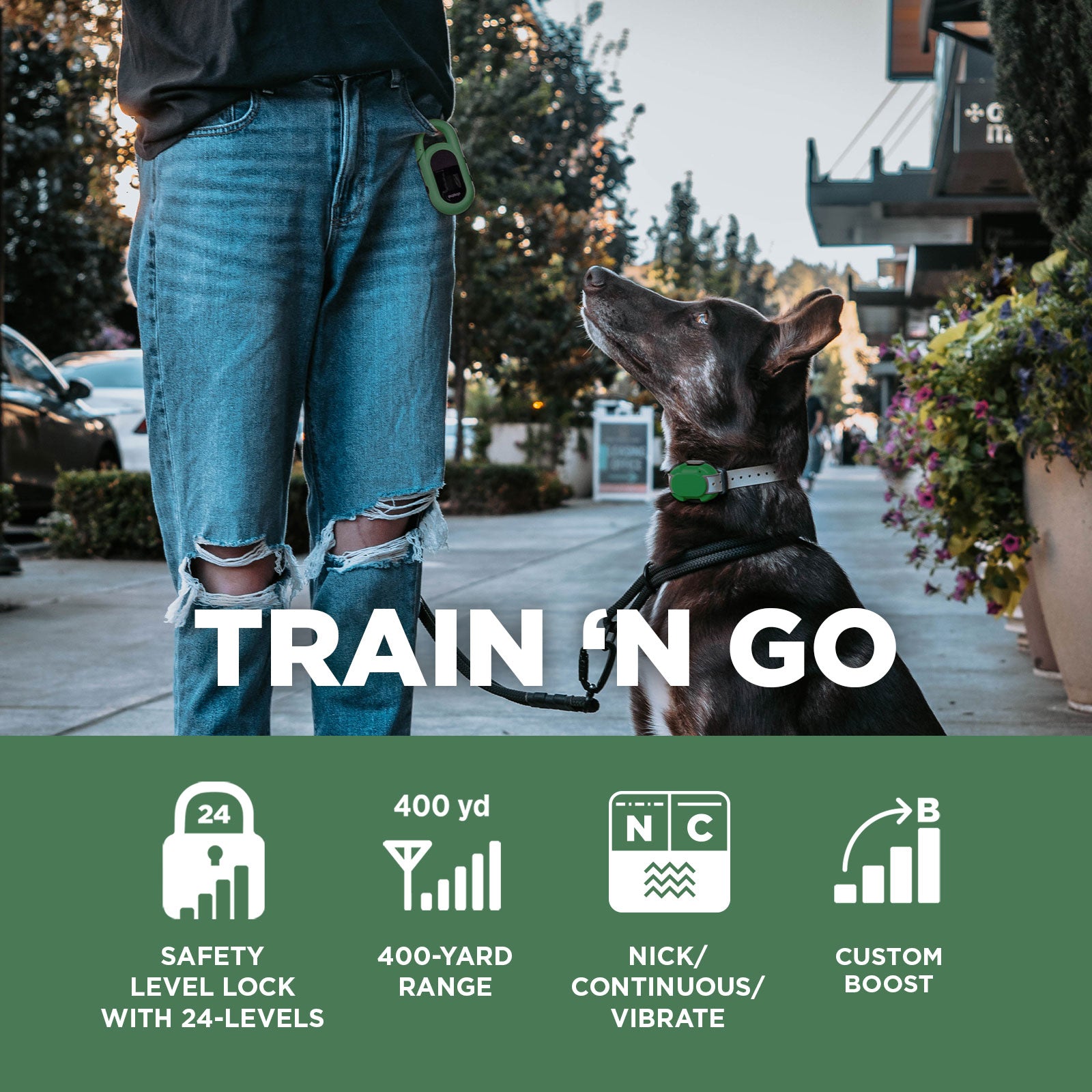 Dogtra CUE Add-On Collar - The Ultimate Off-Leash Training Solution for Active Pets