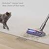 Revolutionize Your Cleaning with Dyson V12 Detect Slim (New)