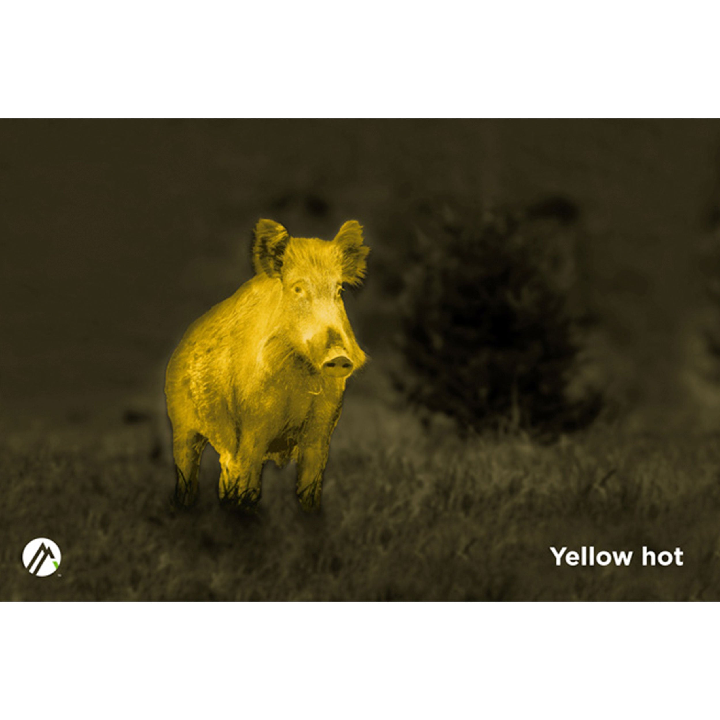 Alpen Apex 54mm Thermal Monocular - Your Ultimate Hunting & Observation Companion