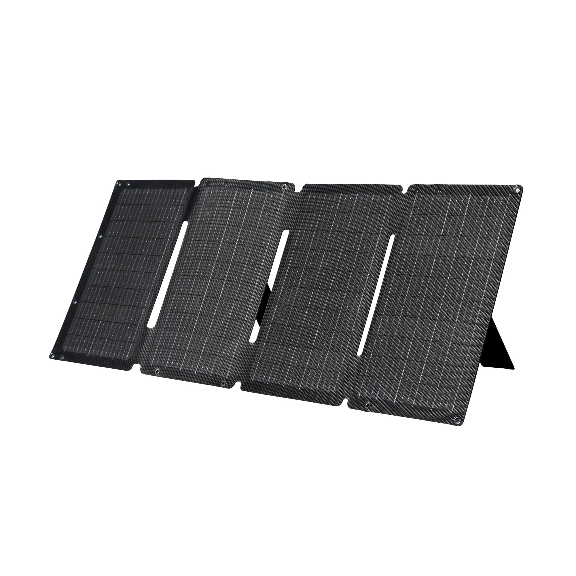 Lion Energy 50W Foldable Solar Panel - Your Portable Solar Power Solution