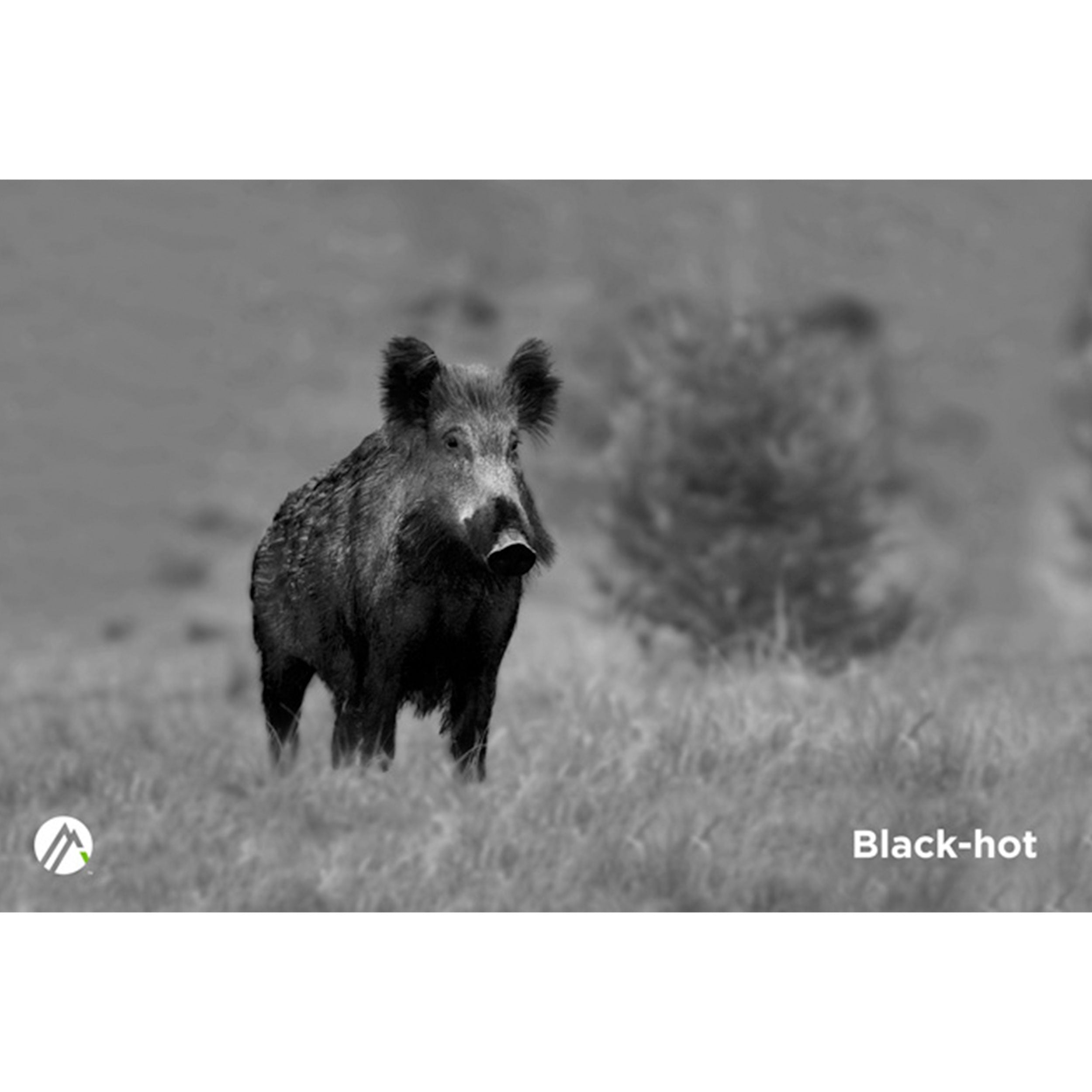 Alpen Apex 54mm Thermal Monocular - Your Ultimate Hunting & Observation Companion